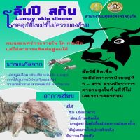 โรคอุบัติใหม่ที่ไม่ควรมองข้าม