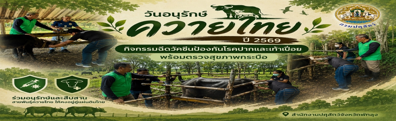 กิจกรรมวันอนุรักษ์ควายไทย