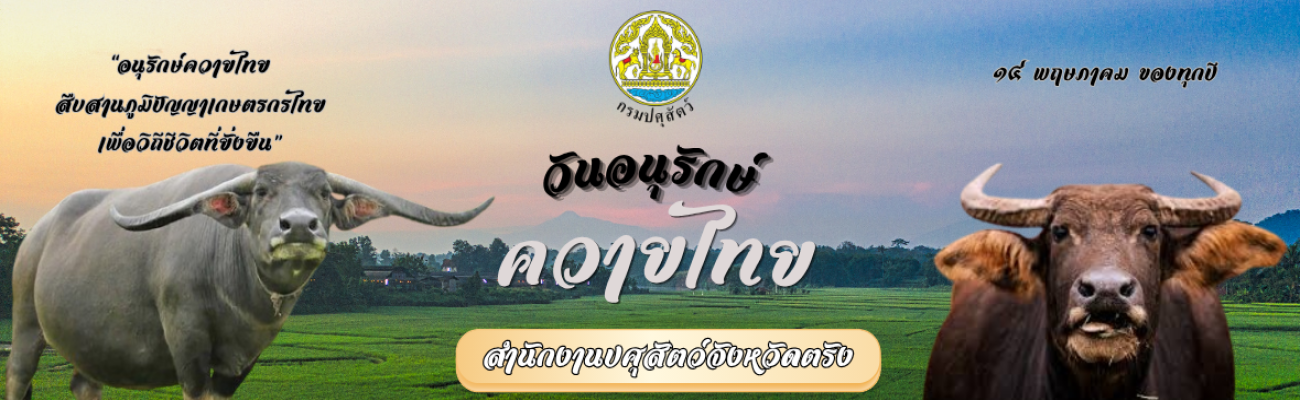 14 พฤษภาคม 2569 วันอนุรักษ์ควายไทย