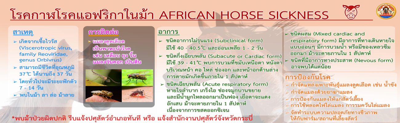 โรคกาฬโรคแอฟริกาในม้า AFRICAN HORSE SICNESS
