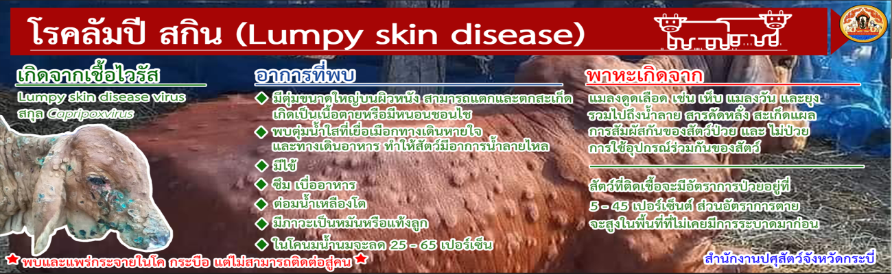 โรคลัมปี สกิน Lumpy skin disease