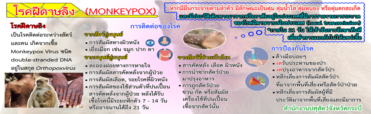 โรคฝีดาษลิง Monkeypox