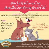 โรคพิษสุนัขบ้า