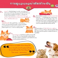 การดูแลแผลผ่าตัดทำหมัน