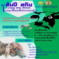 โรคอุบัติใหม่ที่ไม่ควรมองข้าม