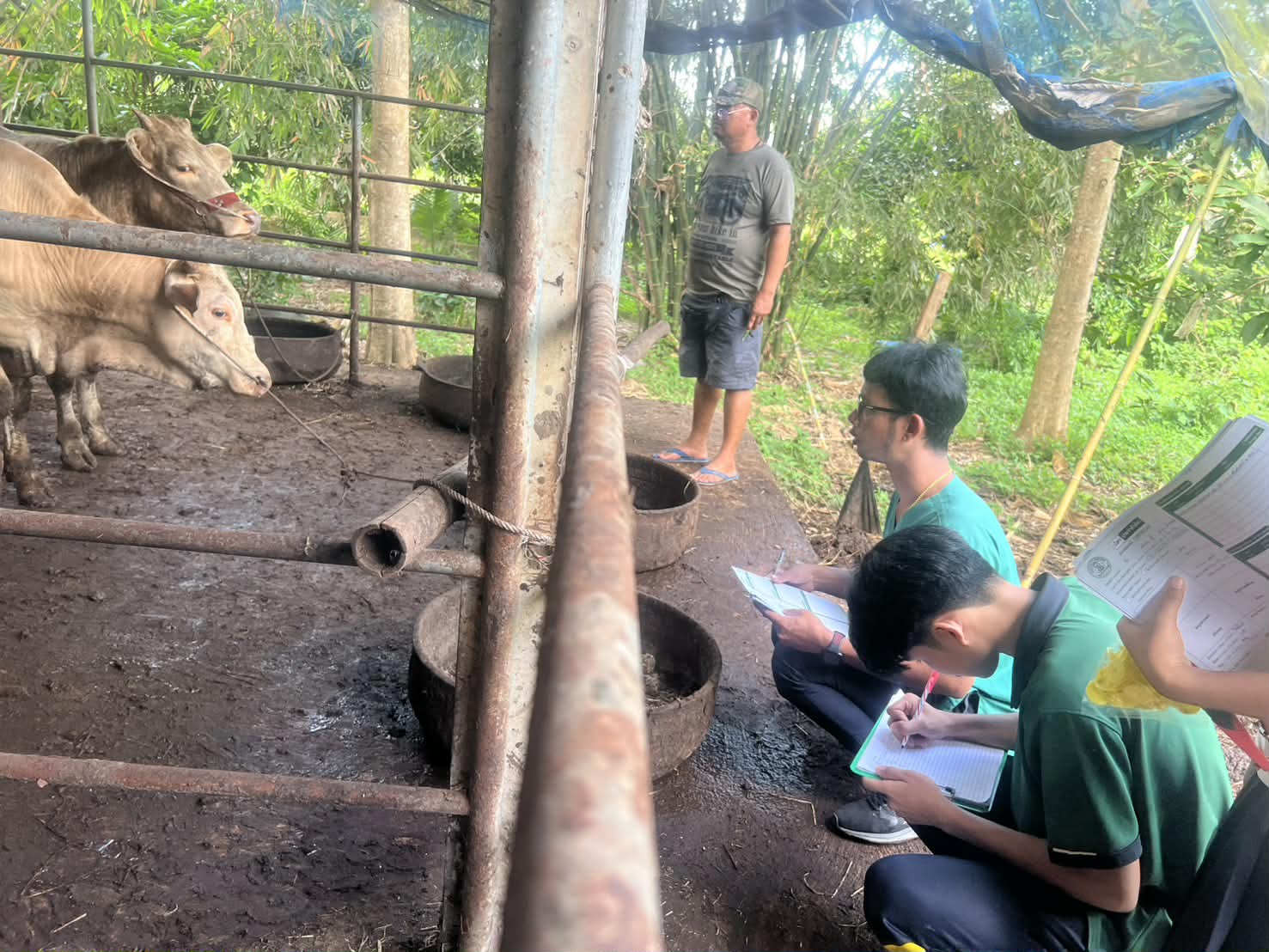 9da8371c 12ce 43cf 8f6f 77e1bd4f2c10