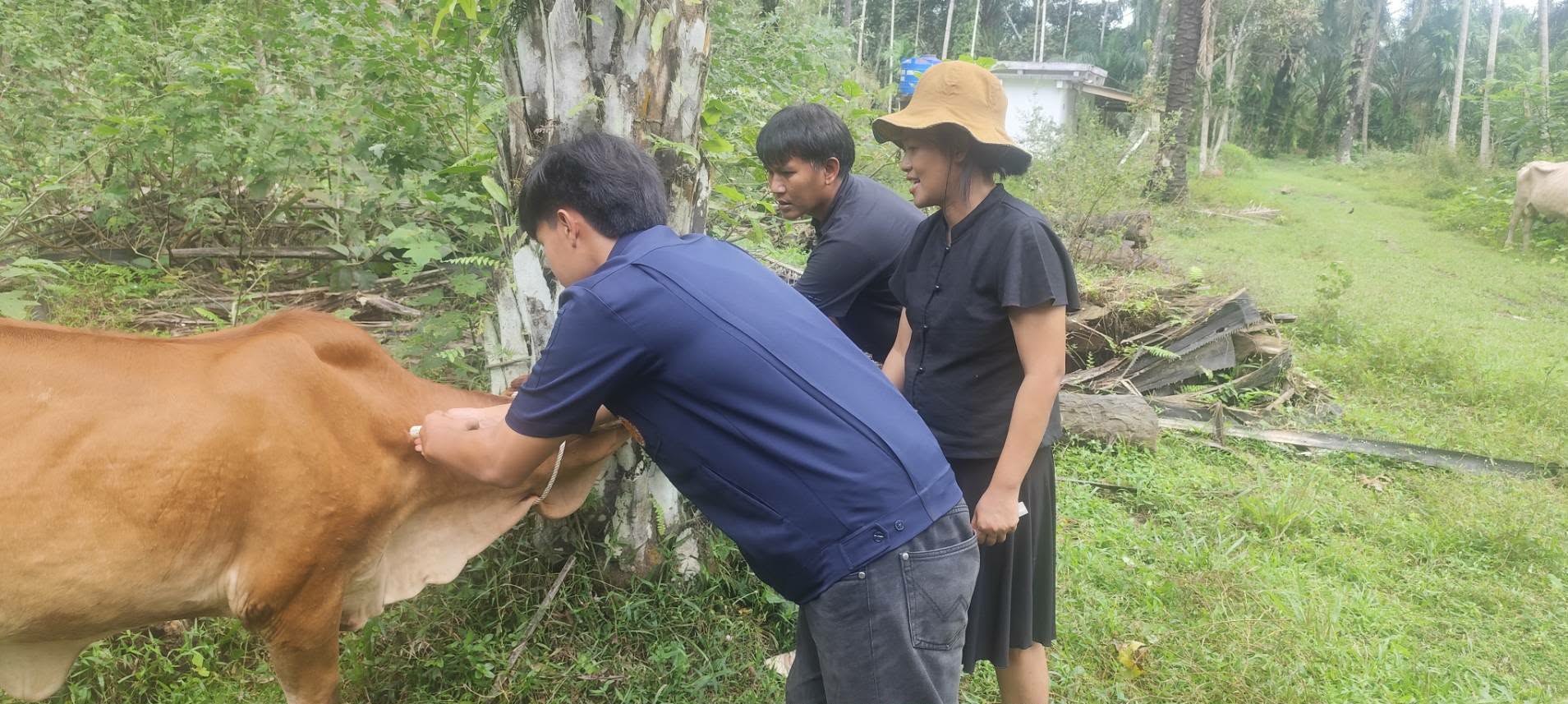 03ac6dc1 48d0 42e0 8eaa 4ccb2277587c