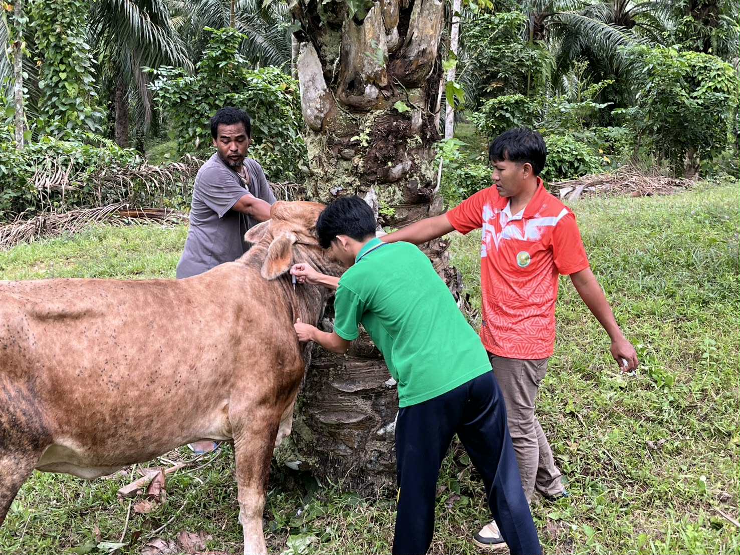 03b4c9da 7fa8 4aab a09e 37d5c864645a