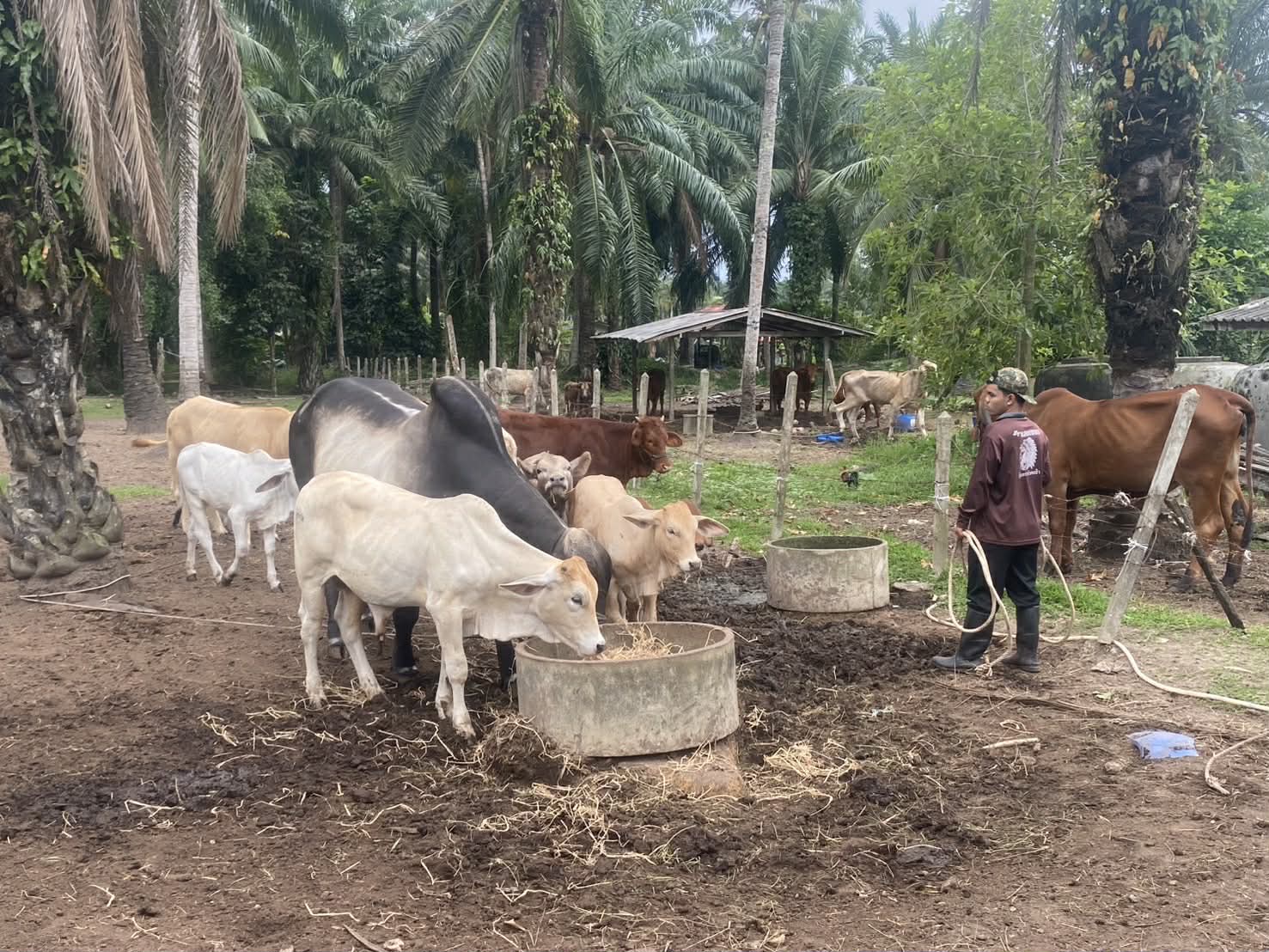 2df5a0c6 1562 459d a83a 67d49ad77aeb