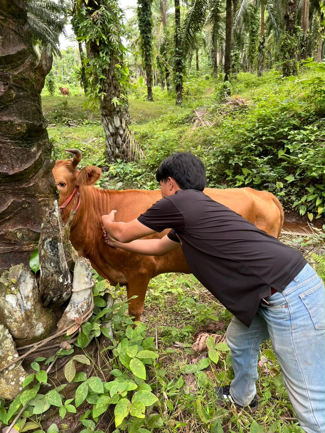 ef42e995 f687 47f8 8a68 2541723f1f64