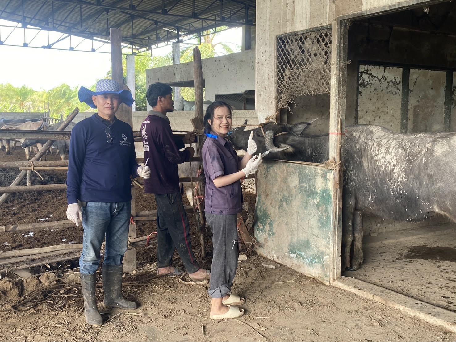 c1ccf7ec 197b 45ba ac44 62d373f88215