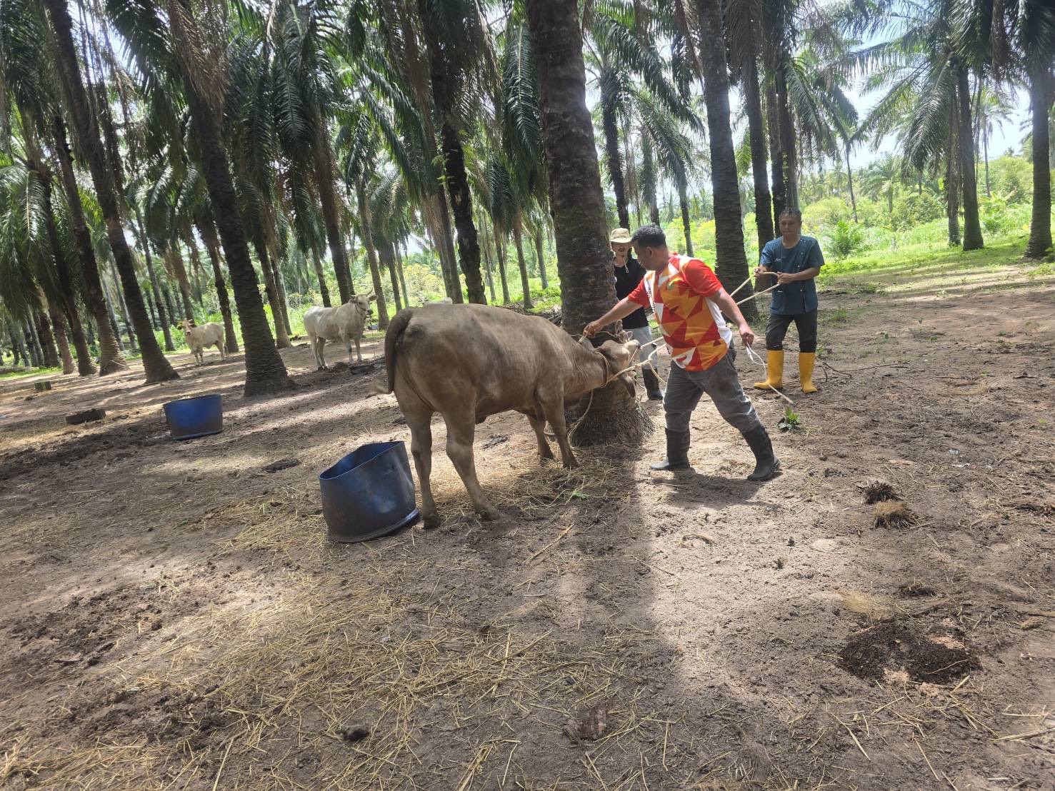 S 82288683 0