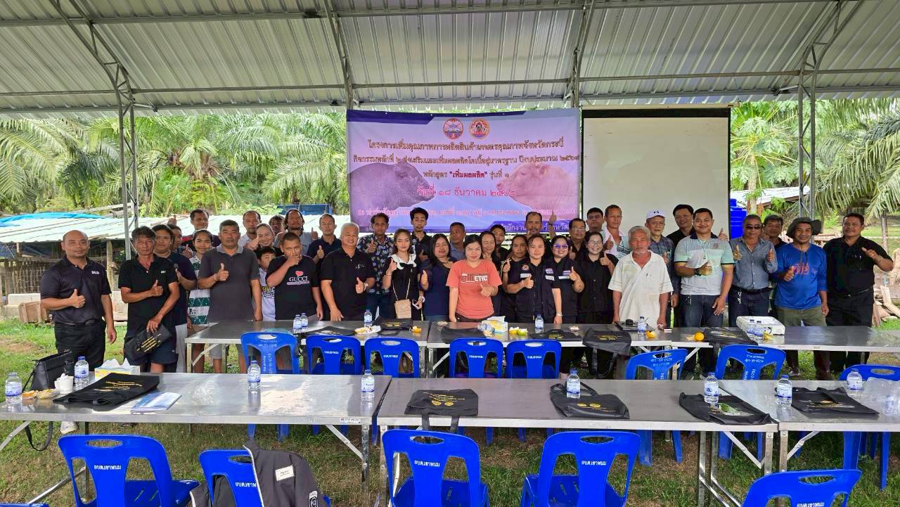 LINE ALBUM 181268 251219 51 0