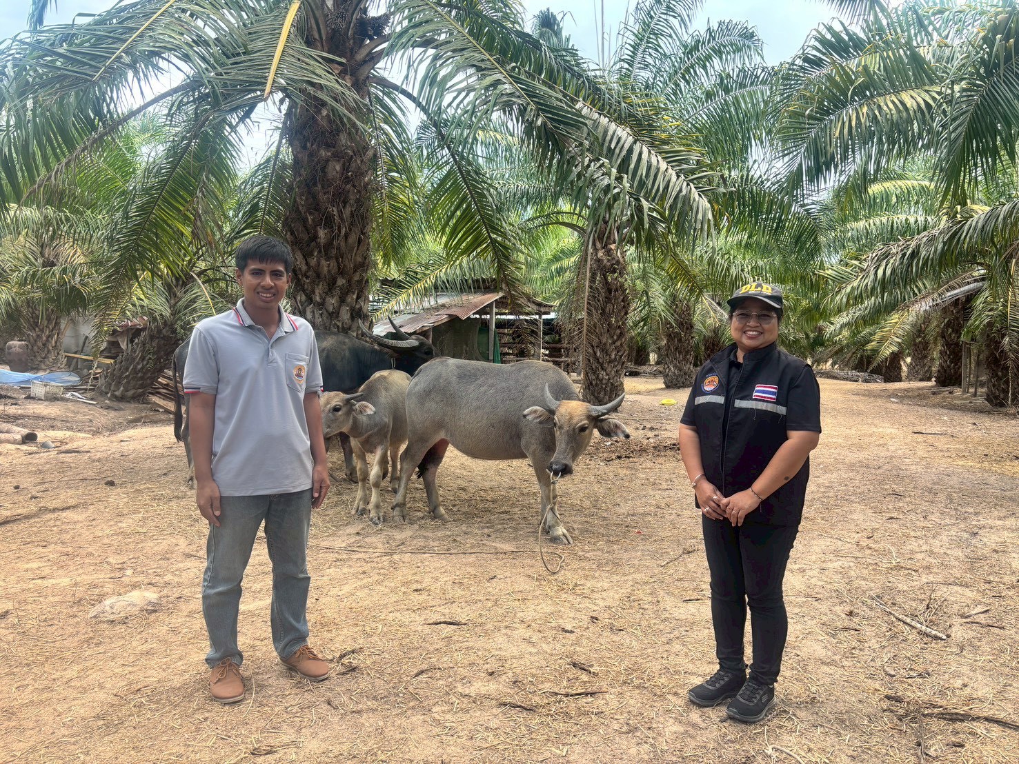 LINE ALBUM tidtam khorngkar thkhk.270469 260428 73 0