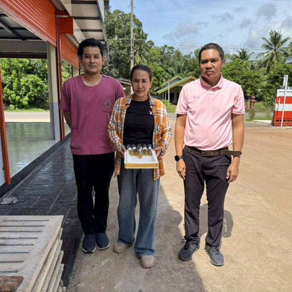 การเก็บตัวอย่างปัสสาวะสุกร เพื่อตรวจต่ออายุใบรับรองฟาร์มเลี้ยงสัตว์ ปลอดสารเร่งเนื้อแดง