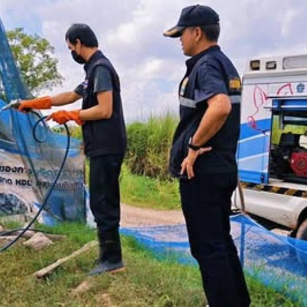 มาตรการเฝ้าระวังป้องกันโรคไข้หวัดนก   ในเป็ดไล่ทุ่ง