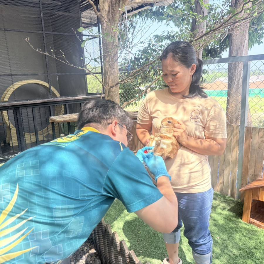 วันที่ 25 กุมภาพันธ์ 2569 ส่วนสุขภาพสัตว์ ร่วม โครงการเฝ้าระวังโรคที่สำคัญในสัตว์ป่าและสัตว์เลี้ยงชนิดพิเศษในสถานประกอบการเพื่อการท่องเที่ยวเมืองหลัก 22 จังหวัด