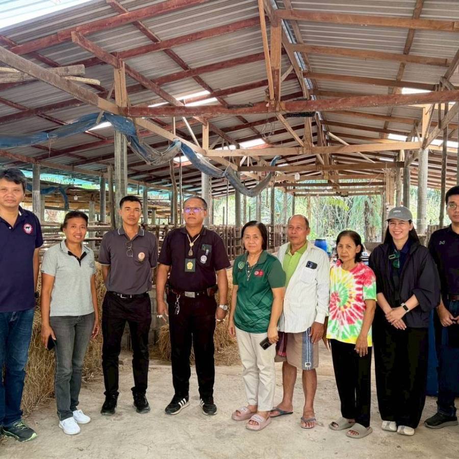 วันที่ 24 มีนาคม 2569 ส่วนส่งเสริมและพัฒนาการปศุสัตว์ ตรวจสอบและพิจารณาประเมินศักยภาพของกลุ่มวิสาหกิจชุมชนเลี้ยงโคพรีเมียมและโคพื้นเมืองท่าสะบ้า