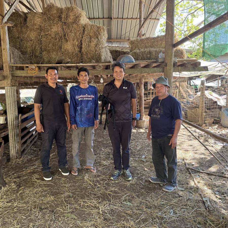 วันที่ วันที่ 25-26 มีนาคม 2569 ส่วนส่งเสริมและพัฒนาการปศุสัตว์ ติดตามงานในโครงการการสร้างความแข็งการเลี้ยงแพะเนื้อแบบยั่งยืน ในพื้นที่จังหวัดพัทลุง