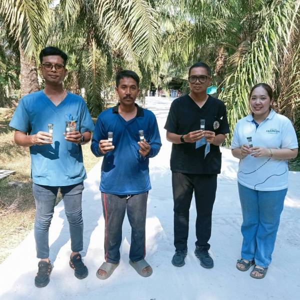 สำนักงานปศุสัตว์อำเภอท่าแซะ ดำเนินงานเก็บตัวอย่างปัสสาวะสุกรเพื่อตรวจหาสารเร่งเนื้อแดง ในพื้นที่อำเภอท่าแซะ จังหวัดชุมพร