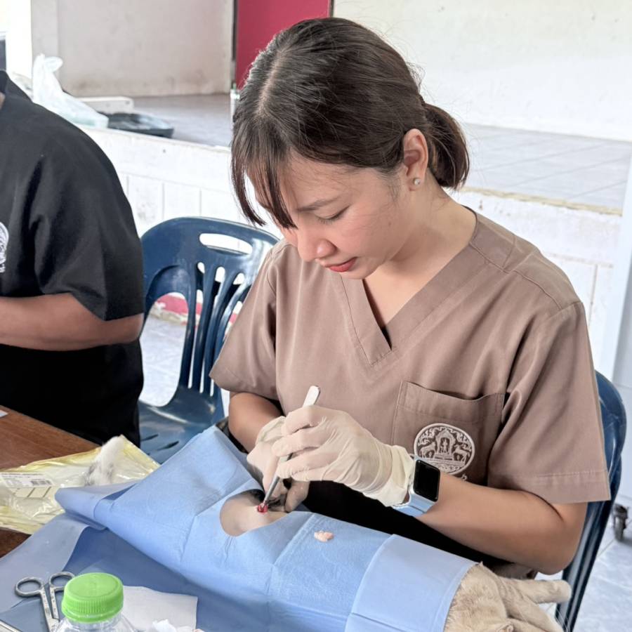 วันที่ 8 เมษายน 2569 ส่วนสุขภาพสัตว์ ร่วมบริการผ่าตัดทำหมันและฉีดวัคซีนป้องกันโรคพิษสุนัขบ้า ณ อ.บ้านนาสาร จ.สุราษฎร์ธานี