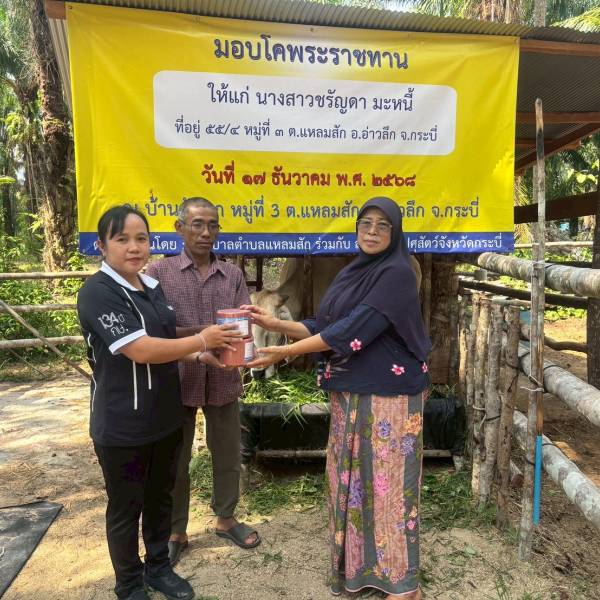 ปศุสัตว์จังหวัดกระบี่ ลงพื้นที่อำเภออ่าวลึก จังหวัดกระบี่ ติดตามโคพระราชทาน ภายใต้ โครงการธนาคารโค-กระบือ เพื่อเกษตรกร ตามพระราชดำริ กรณีพิเศษ