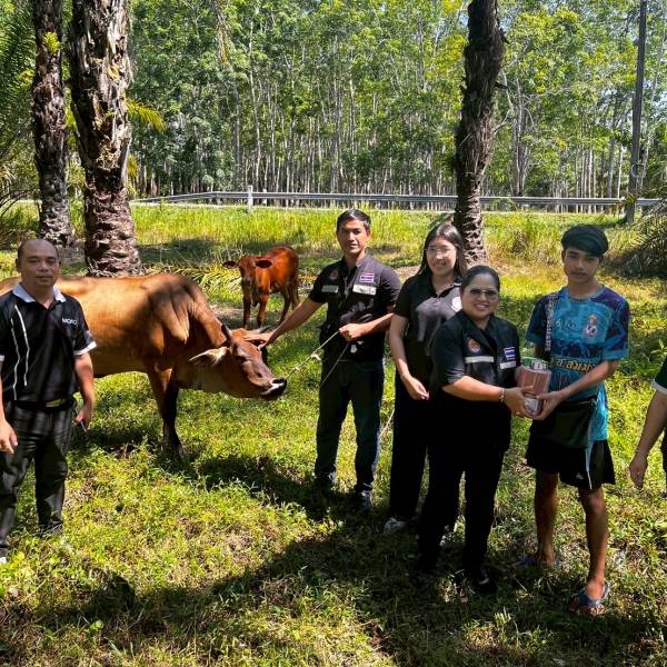 ปศุสัตว์จังหวัดกระบี่ ลงพื้นที่อำเภอเขาพนม จังหวัดกระบี่ ติดตาม โค-กระบือ ภายใต้โครงการธนาคารโค-กระบือ เพื่อเกษตรกร ตามพระราชดำริ 