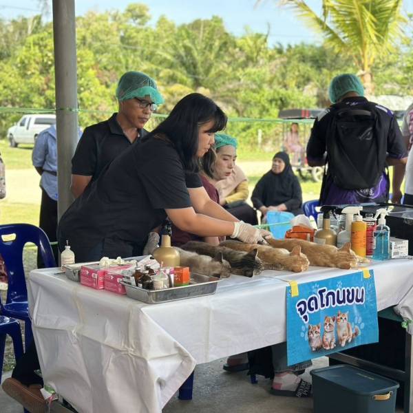ปศุสัตว์กระบี่ ออกหน่วยเคลื่อนที่ให้บริการผ่าตัดทำหมันสุนัขและแมวและฉีดวัคซีนป้องกันโรคพิษสุนัขบ้า ประจำปีงบประมาณ 2569