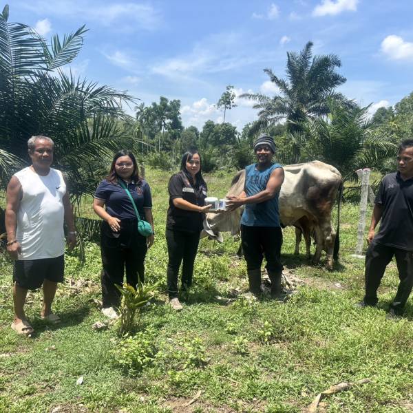 ปศุสัตว์จังหวัดกระบี่ ลงพื้นที่ตรวจติดตาม โค-กระบือ ภายใต้โครงการธนาคารโค-กระบือ เพื่อเกษตรกร  ตามพระราชดำริ