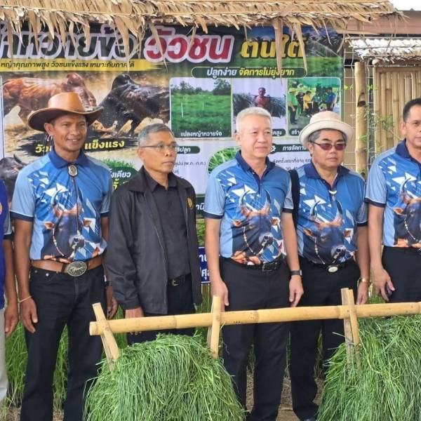 พิธีเปิดงานมหกรรมปศุสัตว์เมืองคนดีวิถีคนใต้ 2569 กิจกรรม ประกวดโคเนื้อ โคพื้นเมือง ไก่พื้นเมืองสวยงาม