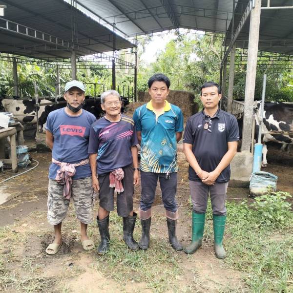 📌 ดูแลสุขภาพ และแก้ปัญหาระบบสืบพันธุ์โคนม ร่วมกับศูนย์วิจัยการผสมเทียมและเทคโนโลยีชีวภาพสุราษฎร์ธานี