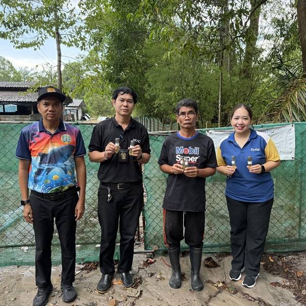 การเก็บตัวอย่างปัสสาวะสุกร เพื่อตรวจต่ออายุใบรับรองฟาร์มเลี้ยงสัตว์ ปลอดสารเร่งเนื้อแดง