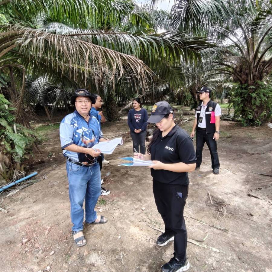 วันที่ 20 พฤษภาคม 2569 ส่วนมาตรฐานการปศุสัตว์ ตรวจประเมินโครงการฟาร์มรักษ์สิ่งแวดล้อมฟาร์มสุกร และติดตามโครงการเฝ้าระวังการใช้สารเร่งเนื้อแดงในฟาร์มสุกร