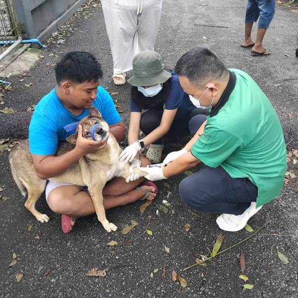 วันที่ 26 พฤษภาคม 2569  เก็บตัวอย่างเลือดสุนัข เพื่อตรวจหาภูมิคุ้มกันโรคพิษสุนัขบ้าในสุนัข หลังทำวัคซีนป้องกันโรคพิษสุนัขบ้า