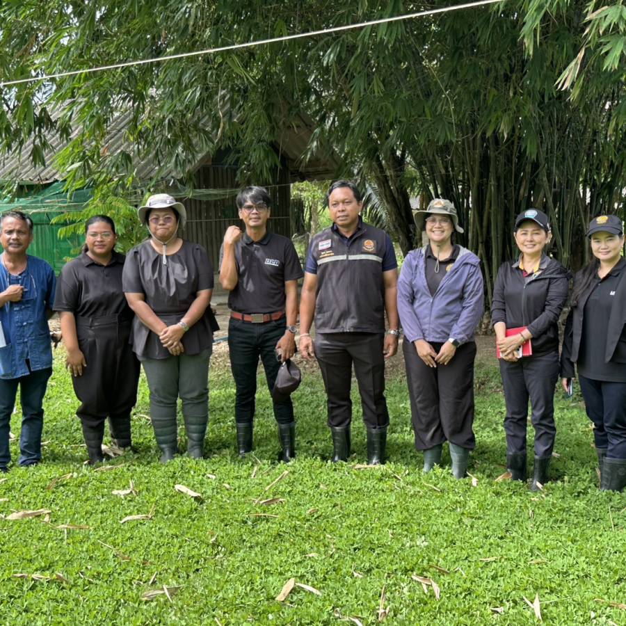 วันที่ 3 กรกฎาคม 2569 ส่วนมาตรฐานการปศุสัตว์ ร่วมดำเนินการตรวจ ตรวจต่ออายุแปลงพืชอาหารสัตว์อินทรีย์ และตรวจติดตามระบบการผลิตไก่พื้นเมืองอินทรีย์ ฯ