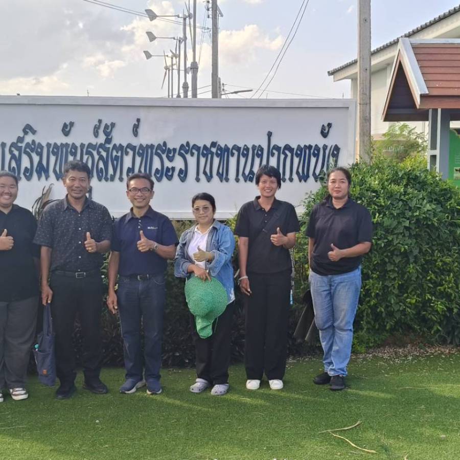 วันที่ 9 กรกฎาคม 2569 ส่วนส่งเสริมและพัฒนาการปศุสัตว์ ติดตามการดำเนินงานกิจกรรมส่งเสริมการเลี้ยงสุกรรายย่อยอย่างยั่งยืน และประชุมหารือเพื่อดำเนินงานวิจัยโครงการศูนย์ผลิตและส่งเสริมพันธุ์สัตว์พระราชทานปากพนัง อันเนื่องมาจากพระราชดำริ