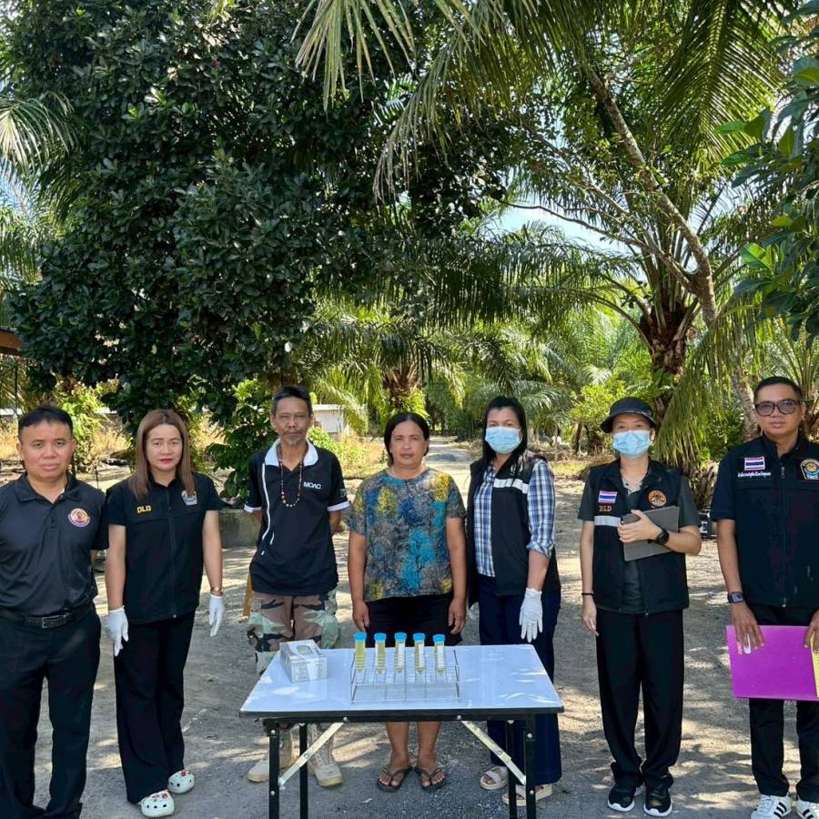 วันที่ 20 กรกฎาคม 2569 ส่วนมาตรฐานการปศุสัตว์ ตรวจสารเร่งเนื้อแดงในฟาร์มสุกรขุน และ ฟาร์มโคขุน