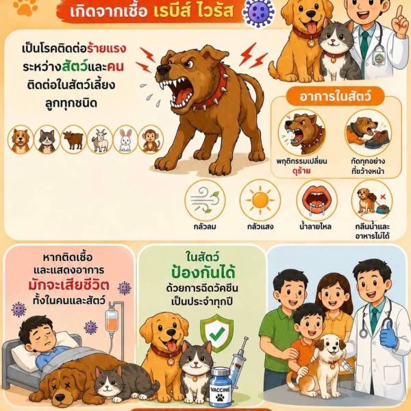 มาทำความรู้จักและวิธีเฝ้าระวังโรคพิษสุนัขบ้ากันเถอะ
