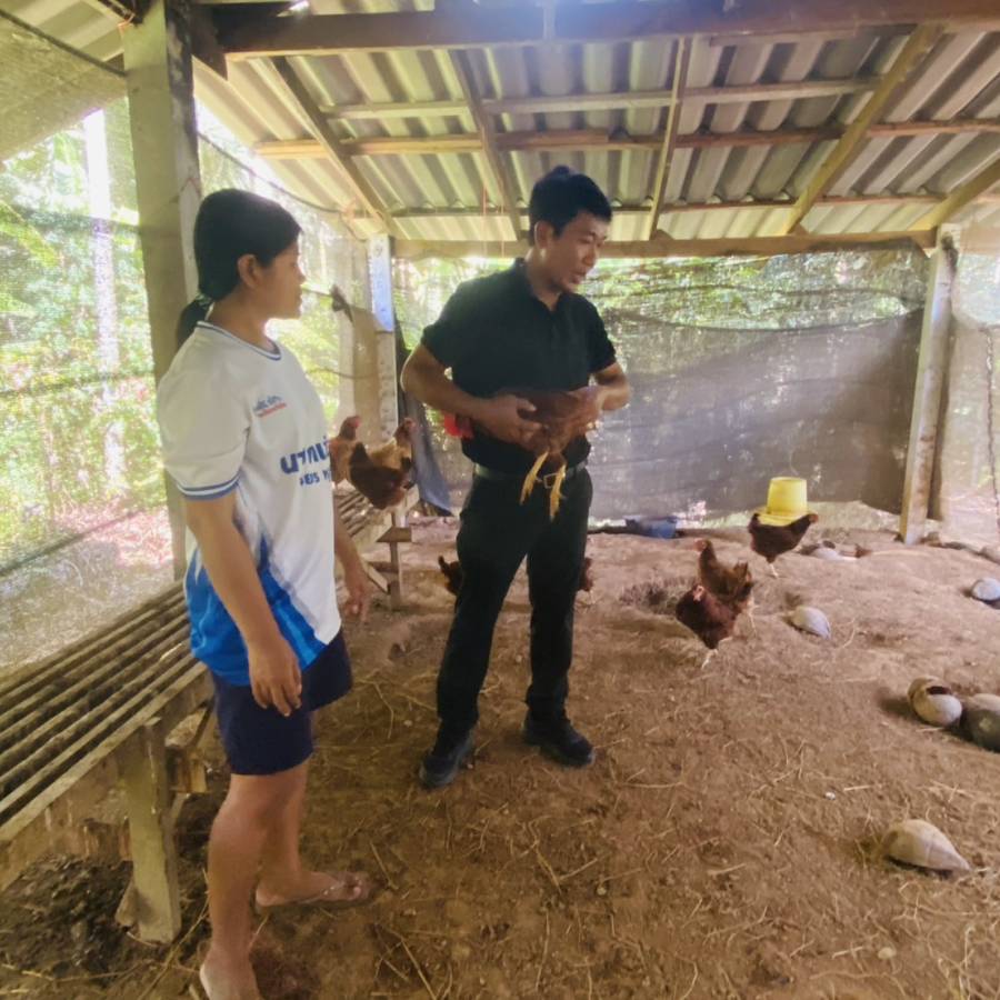วันที่ 3 สิงหาคม 2569 ติดตามการดำเนินงานโครงการศูนย์ผลิตและส่งเสริมพันธุ์สัตว์พระราชทานปากพนัง อันเนื่องมาจากพระราชดำริ