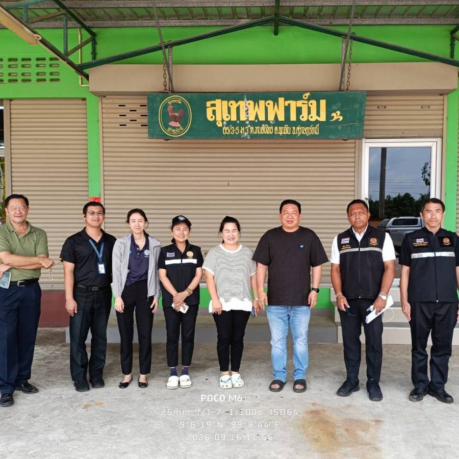 วันที่ 16 กันยายน 2569 ส่วนมาตรฐานการปศุสัตว์ ตรวจประเมินเพื่อการตรวจติดตามการปฏิบัติทางสุขลักษณะที่ดีสำหรับศูนย์รวบรวมไข่ (GHPs) จังหวัดสุราษฎร์ธานี