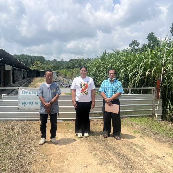 สำนักงานปศุสัตว์อำเภอปลายพระยา ตรวจประเมินฟาร์มสัตว์ปีก ก่อนการนำสัตว์ปีกเข้าเลี้ยงใหม่(ไก่เนื้อ)