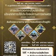 info 2
