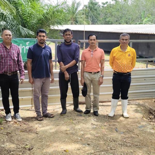 กิจกรรมตรวจรับรองมาตรฐานฟาร์มไก่เนื้อGAP