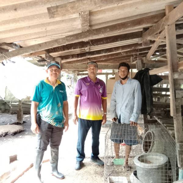 ตรวจรับพันธุ์สัตว์ปีก พืชอาหารสัตว์ และปัจจัยการผลิตโครงการฟื้นฟูอาชีพเกษตรกรผู้ประสบอุทกภัยด้านปศุสัตว์ ภาคใต้ ประจำปีงบประมาณ พ.ศ. 2568