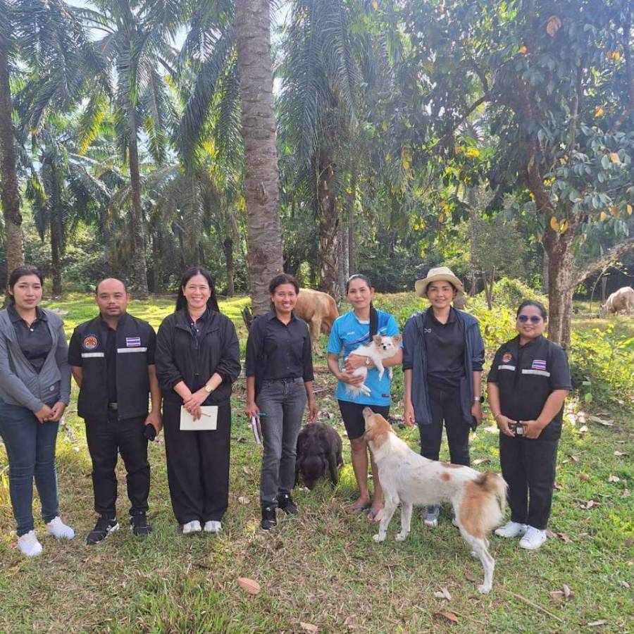 วันที่ 13 กุมภาพันธ์ 2569 ส่วนส่งเสริมและพัฒนาการปศุสัตว์ ตรวจเยี่ยม และรับฟังปัญหาเกษตรกรผู้เลี้ยงโคเนื้อ-กระบือ ในพื้นที่อำเภอเขาพนม จังหวัดกระบี่