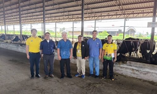 วันที่ 22 กรกฎาคม 2568 ส่วนส่งเสริมฯ ประชุมหารือเพื่อแก้ไขปัญหาด้านการจัดการฟาร์ม ด้านอาหาร และด้านอื่นๆในฟาร์มโคนม เพื่อช่วยเหลือเกษตรกร ในพื้นที่จังหวัดพัทลุง